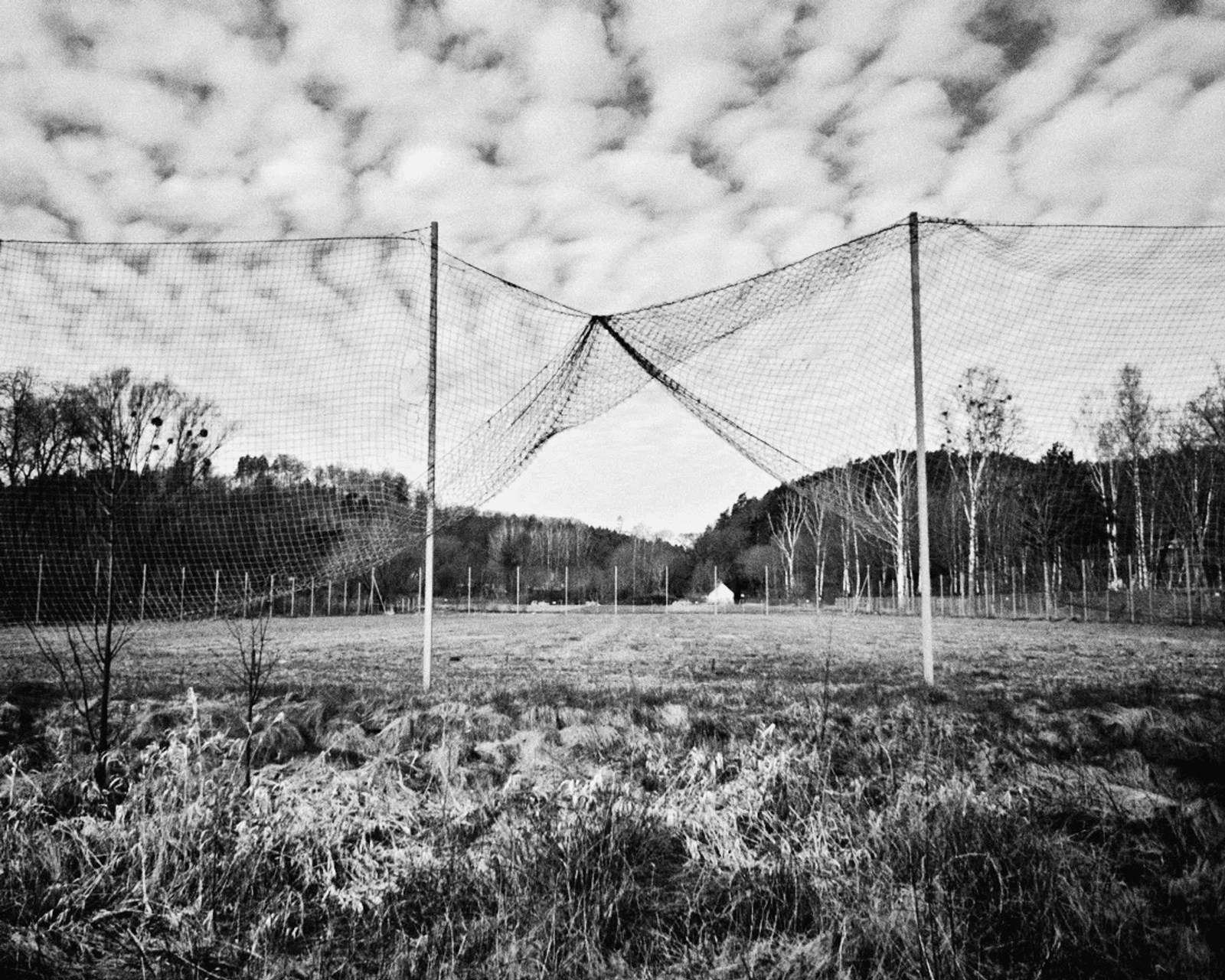 Photo by Alexander Pryshyvalka